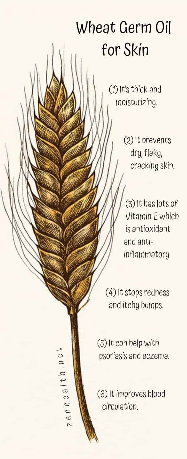 Benefits of Wheat Germ Oil for Skin