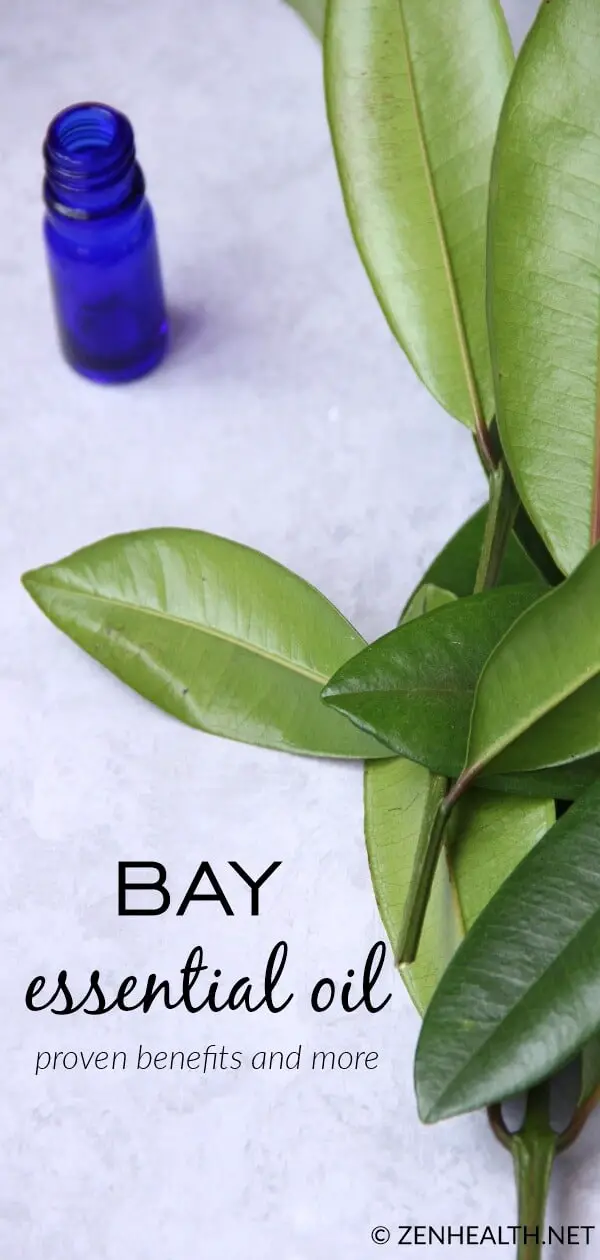 Bay Essential Oil Proven Benefits and More #bayessentialoil #bayoil