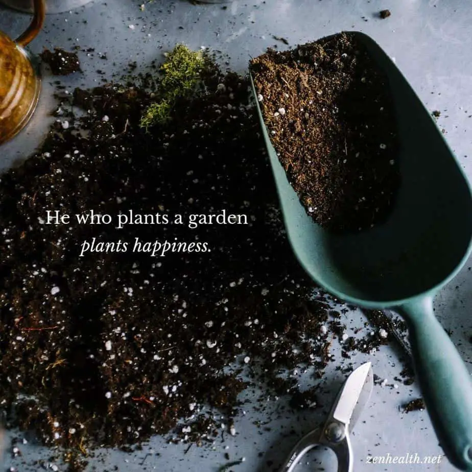 He who plants a garden plants happiness.