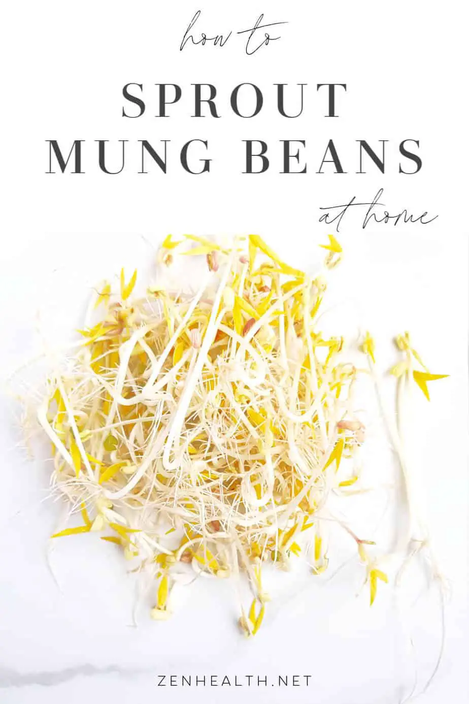 How to grow mung bean sprouts at home | How to sprout mung beans at home