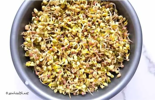 Mung bean sprouts at day 4