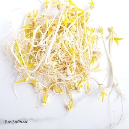 Green mung bean sprouts | how to sprout mung beans at home