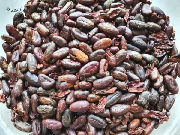 Shelled cocoa beans