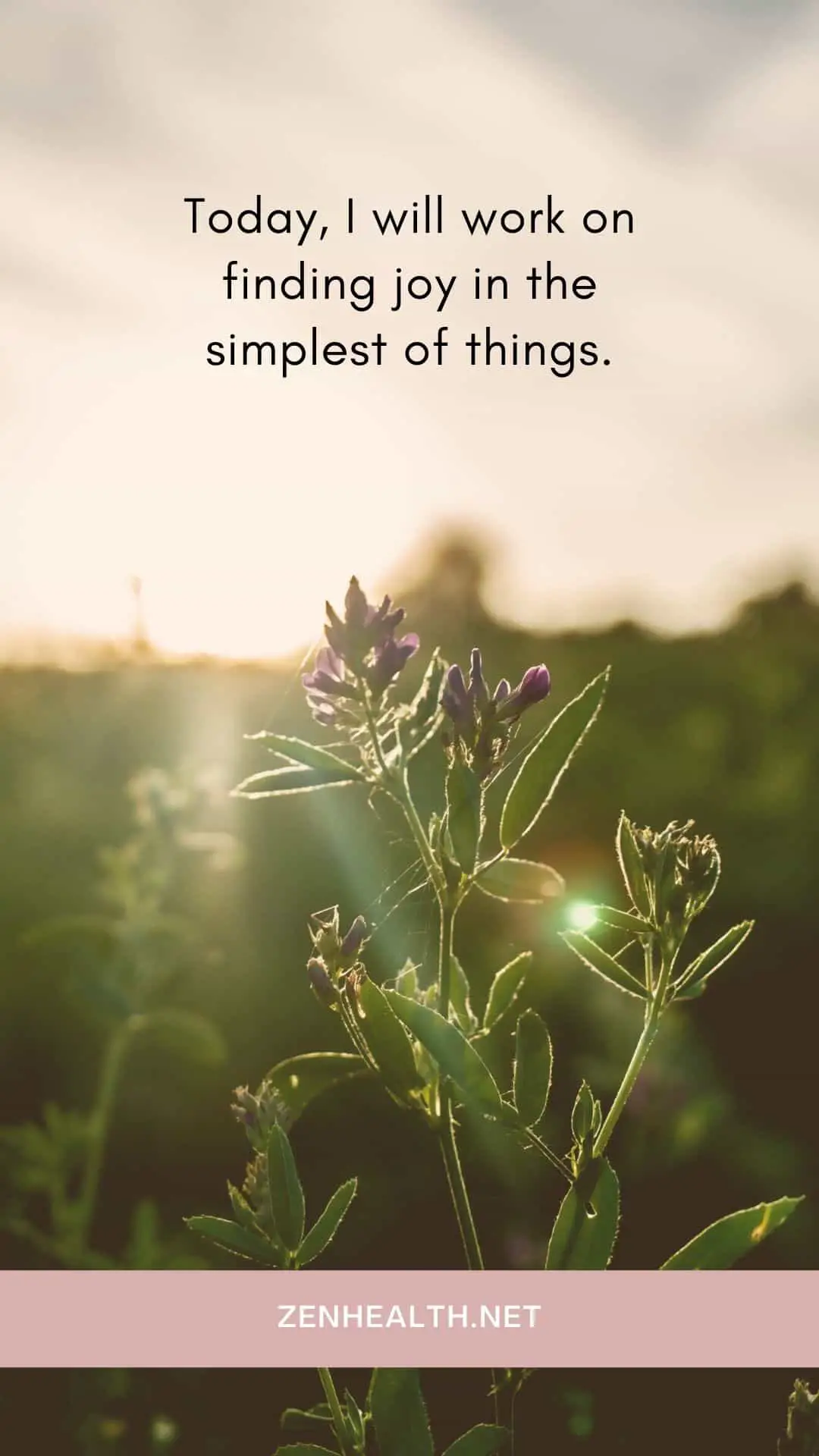 Short morning affirmations: today I will work on finding joy in the simplest of things
