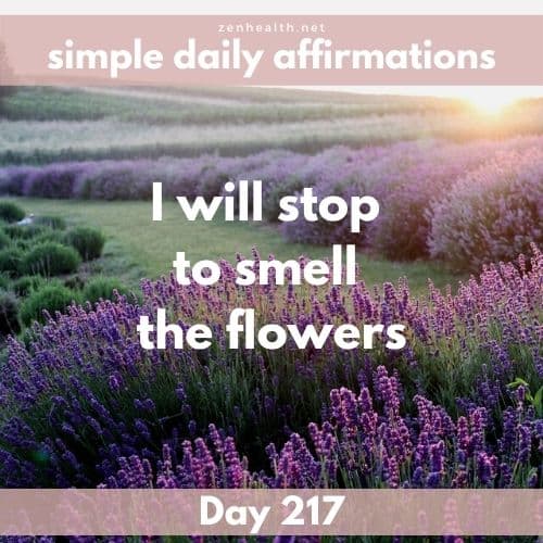 Simple daily affirmations: Day 217
