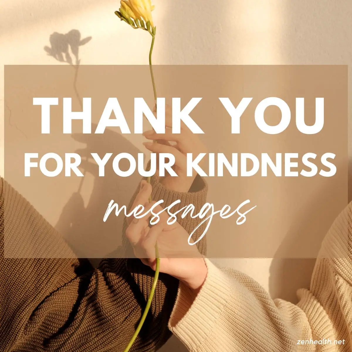 30 Thank You for Your Kindness Messages to Send Today