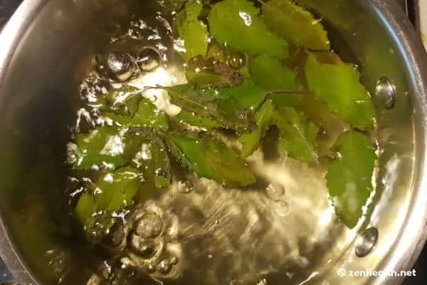 Brewing Tulsi Leaves