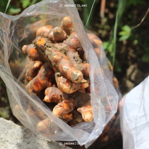 Bagged Turmeric Roots