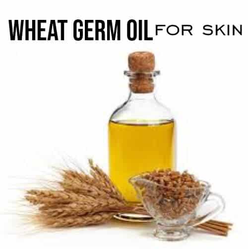 Wheat Germ Oil: The Perfect Oil for Winter
