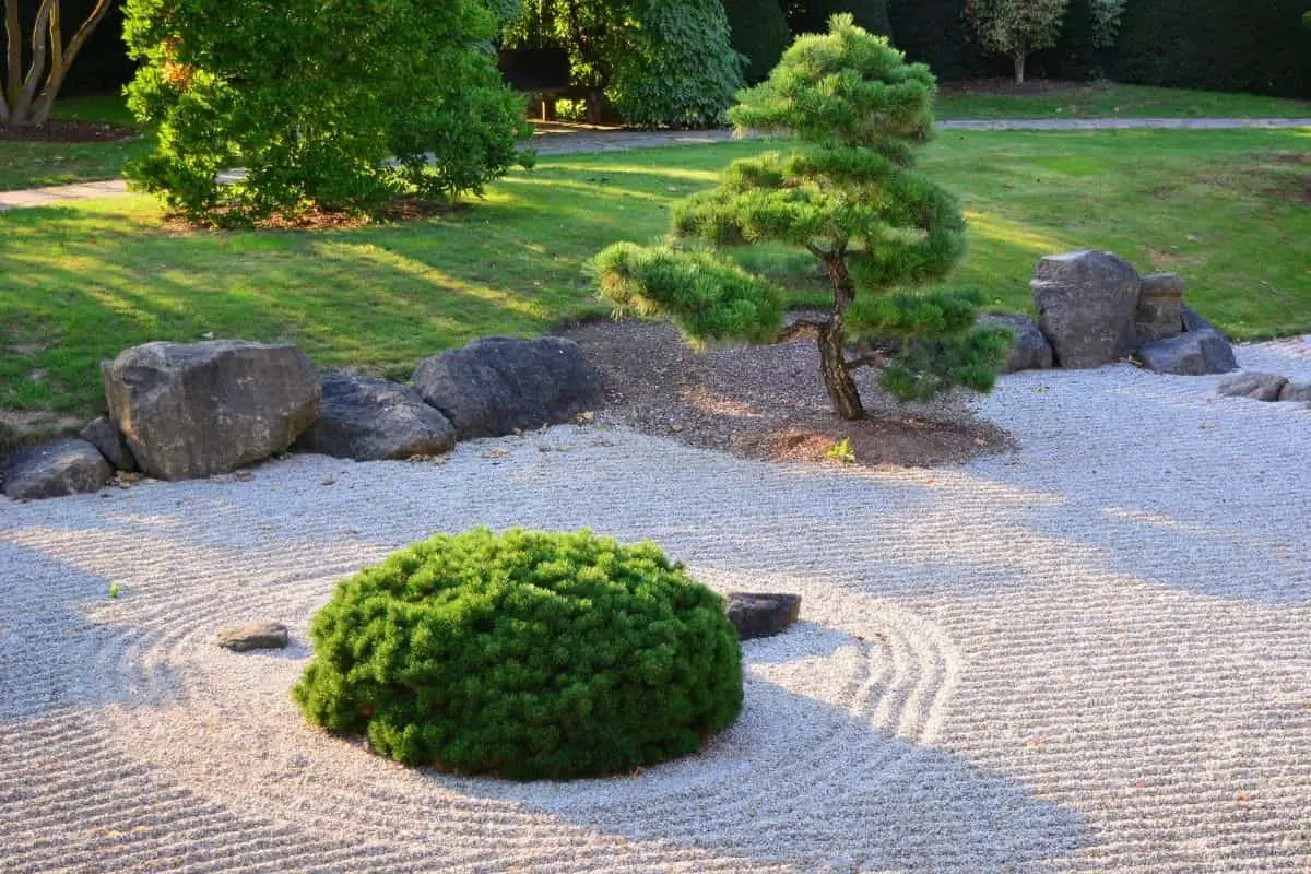 zen garden image